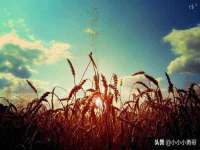 广州慧娴科技有限公司