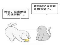 广州慧娴科技有限公司