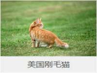 广州慧娴科技有限公司