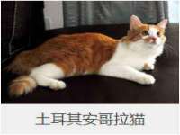 广州慧娴科技有限公司