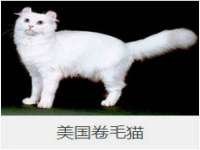 广州慧娴科技有限公司