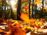 广州慧娴科技有限公司