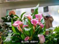 广州慧娴科技有限公司