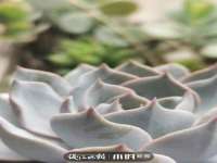 广州慧娴科技有限公司