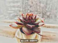 广州慧娴科技有限公司