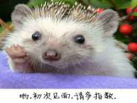 广州慧娴科技有限公司
