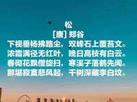 广州慧娴科技有限公司