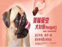 广州慧娴科技有限公司