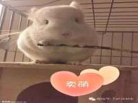 广州慧娴科技有限公司