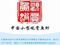 广州慧娴科技有限公司