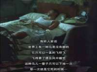 广州慧娴科技有限公司