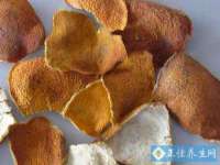 广州慧娴科技有限公司