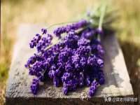 广州慧娴科技有限公司