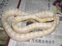 广州慧娴科技有限公司