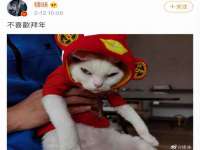 广州慧娴科技有限公司